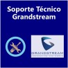 1 Hora de soporte Grandstream